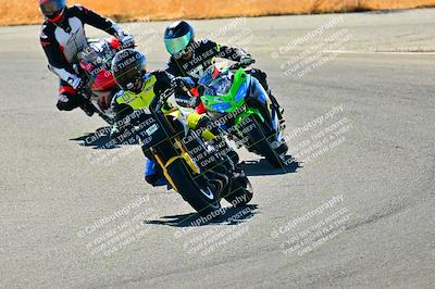 media/Nov-09-2024-2WTD (Sat) [[694fc593b7]]/Group B/Session 2 (Turns 4 5 and 6)/